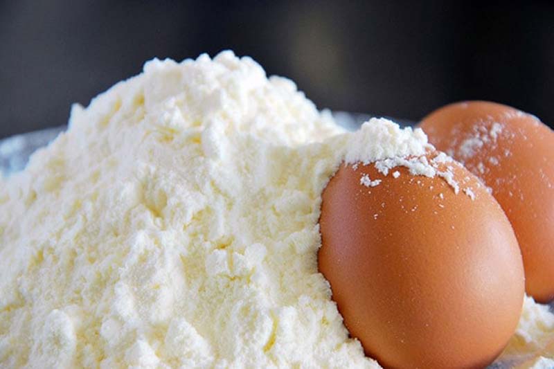 پروتئین پودر سفیده تخم مرغ چیست